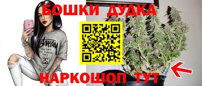 гидра Бийск