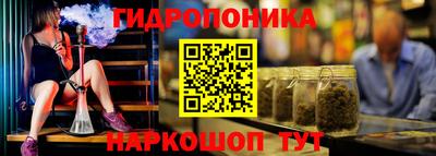 гидра Бийск