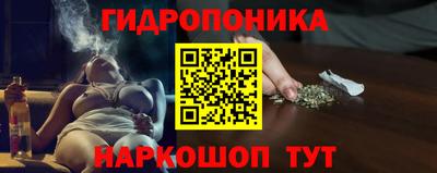 гидра Бийск
